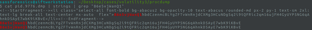 String search of Tor PID screenshot 48