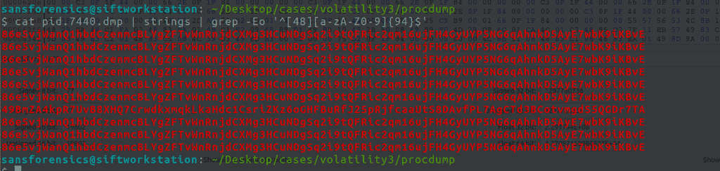 String search of Monero Wallet PID screenshot 25