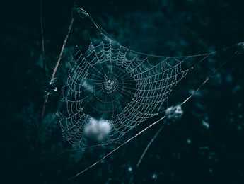 Memory Forensics with Volatility 3: Recovering Monero Wallet Addresses from Tor in Dark Web Investigations - Featured image