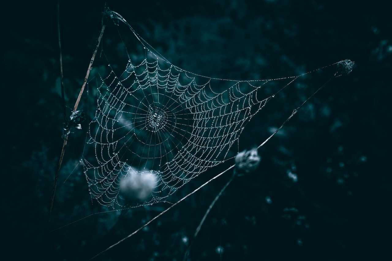 Memory Forensics with Volatility 3: Recovering Monero Wallet Addresses from Tor in Dark Web Investigations - Featured image